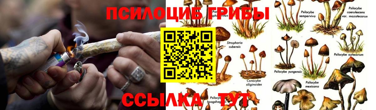 Псилоцибиновые грибы мухоморы  Вход с VPN  Псилоцибиновые грибы Psilocybe  цена   Джанкой 